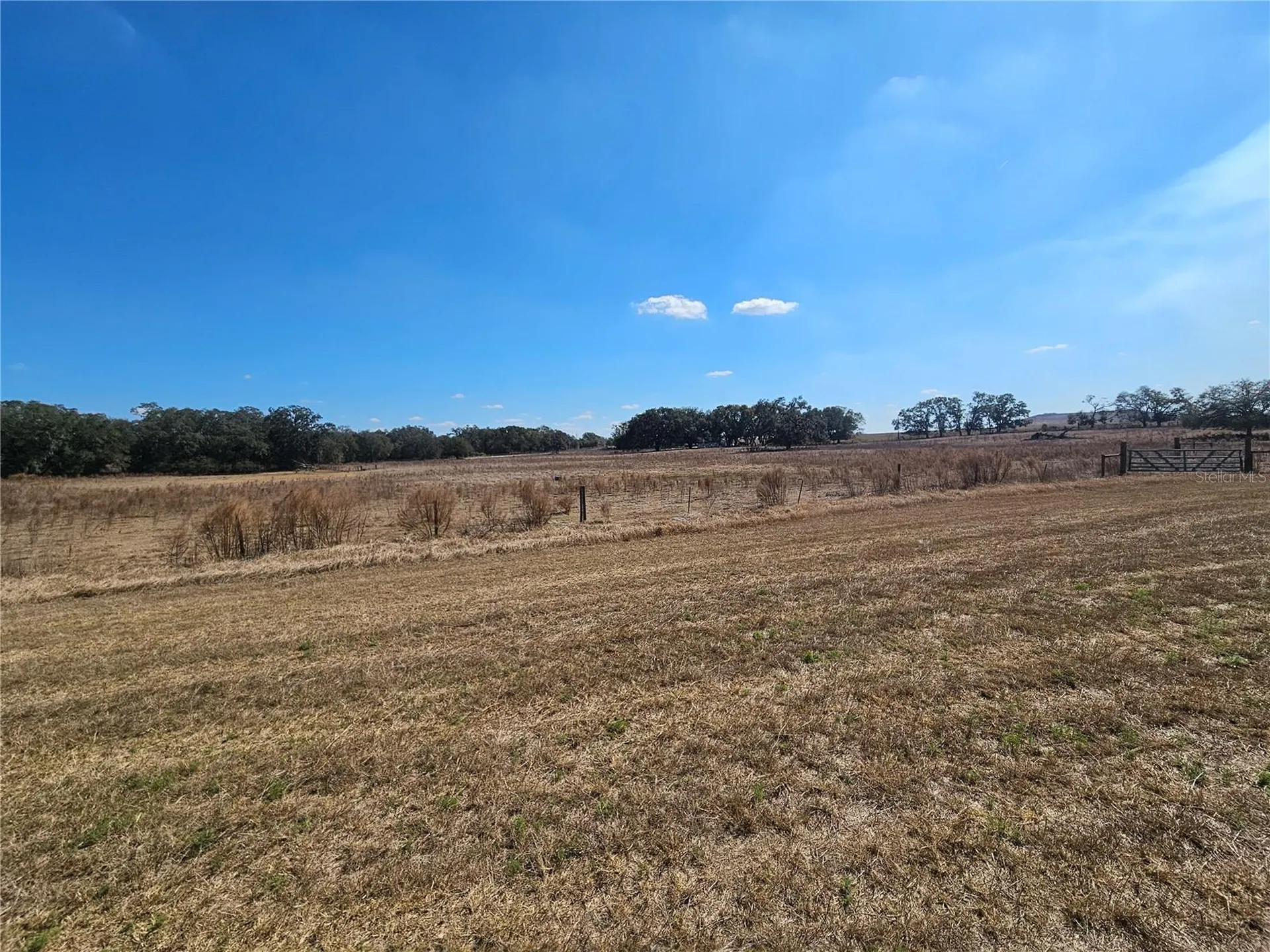 13308 Duck Lake Canal Road Dade City FL 33525