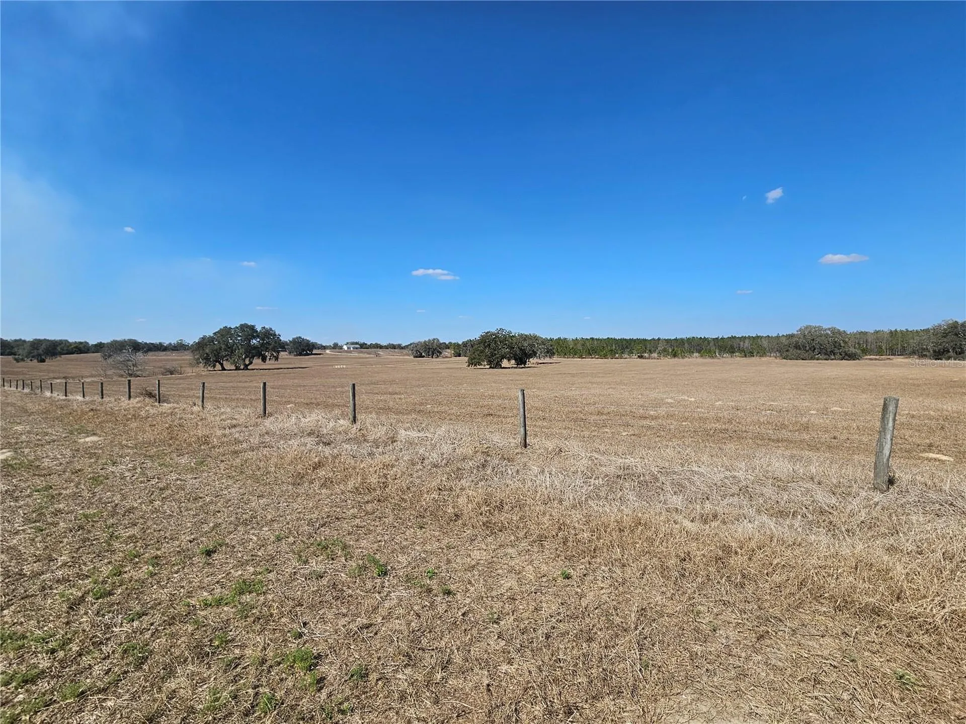 13308 Duck Lake Canal Road Dade City FL 33525