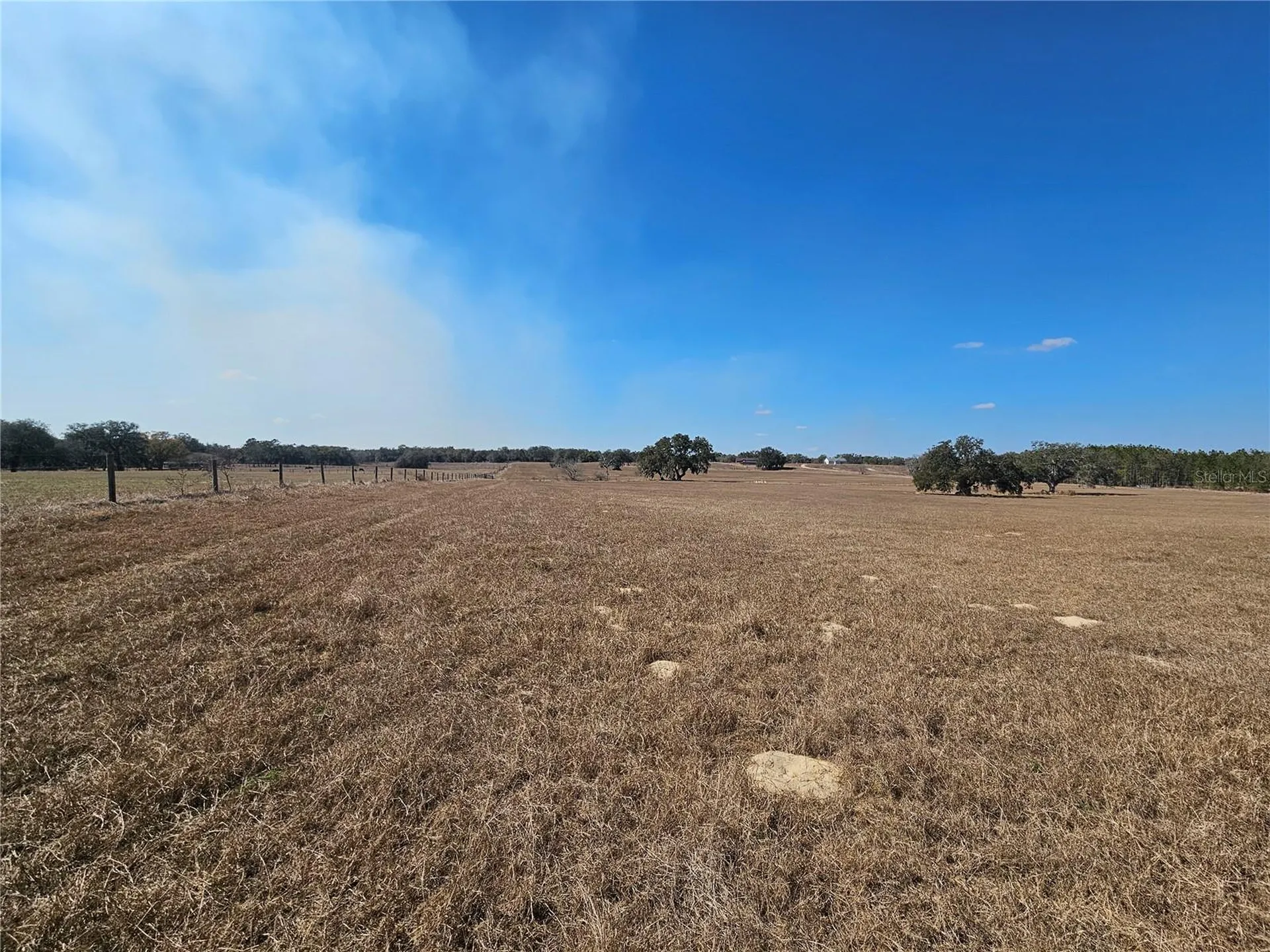 13308 Duck Lake Canal Road Dade City FL 33525