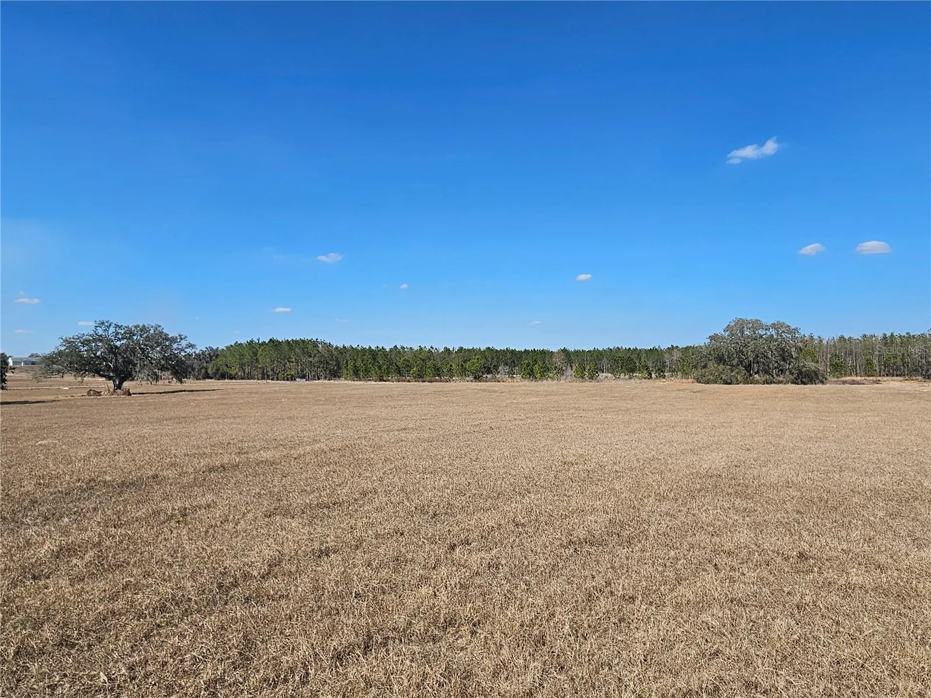 13308 Duck Lake Canal Road Dade City FL 33525