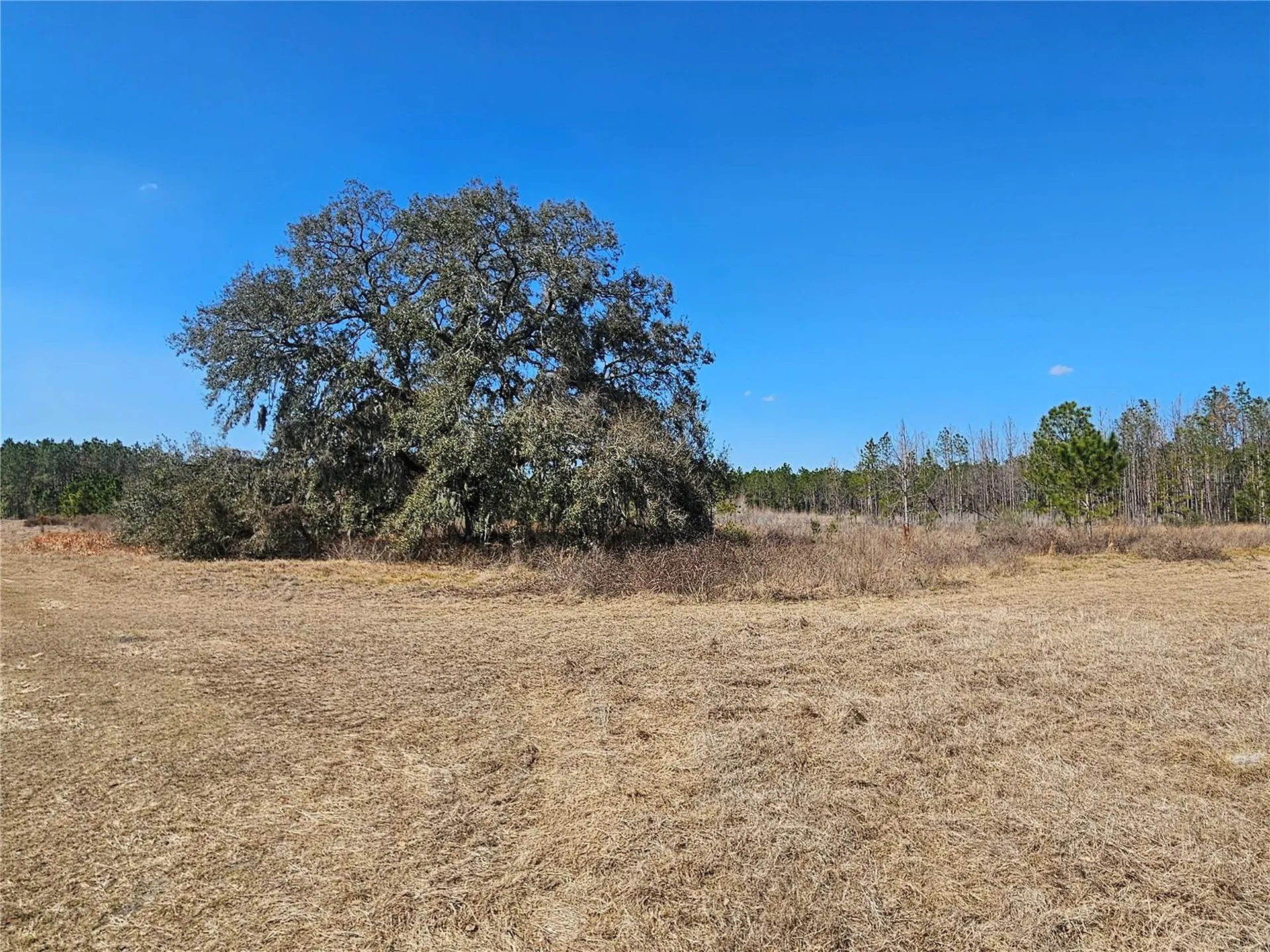 13308 Duck Lake Canal Road Dade City FL 33525