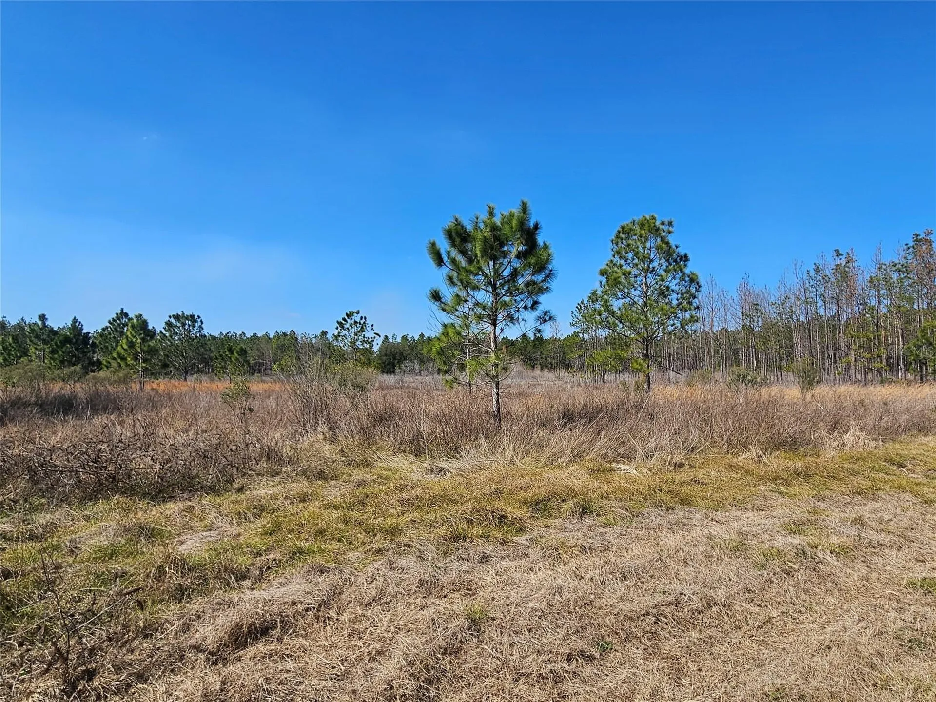 13308 Duck Lake Canal Road Dade City FL 33525