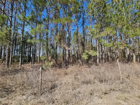 13308 Duck Lake Canal Road Dade City FL 33525
