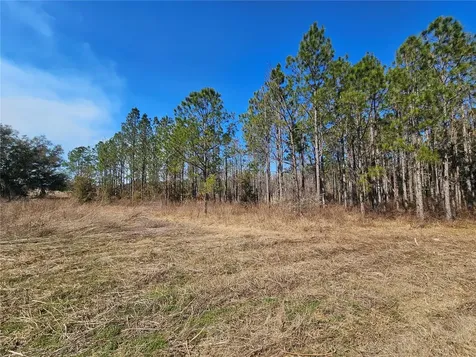 13308 Duck Lake Canal Road Dade City FL 33525