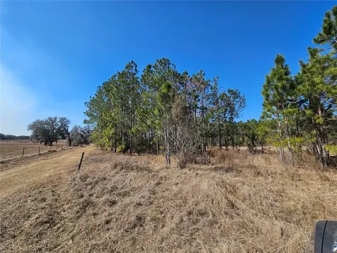 13308 Duck Lake Canal Road Dade City FL 33525