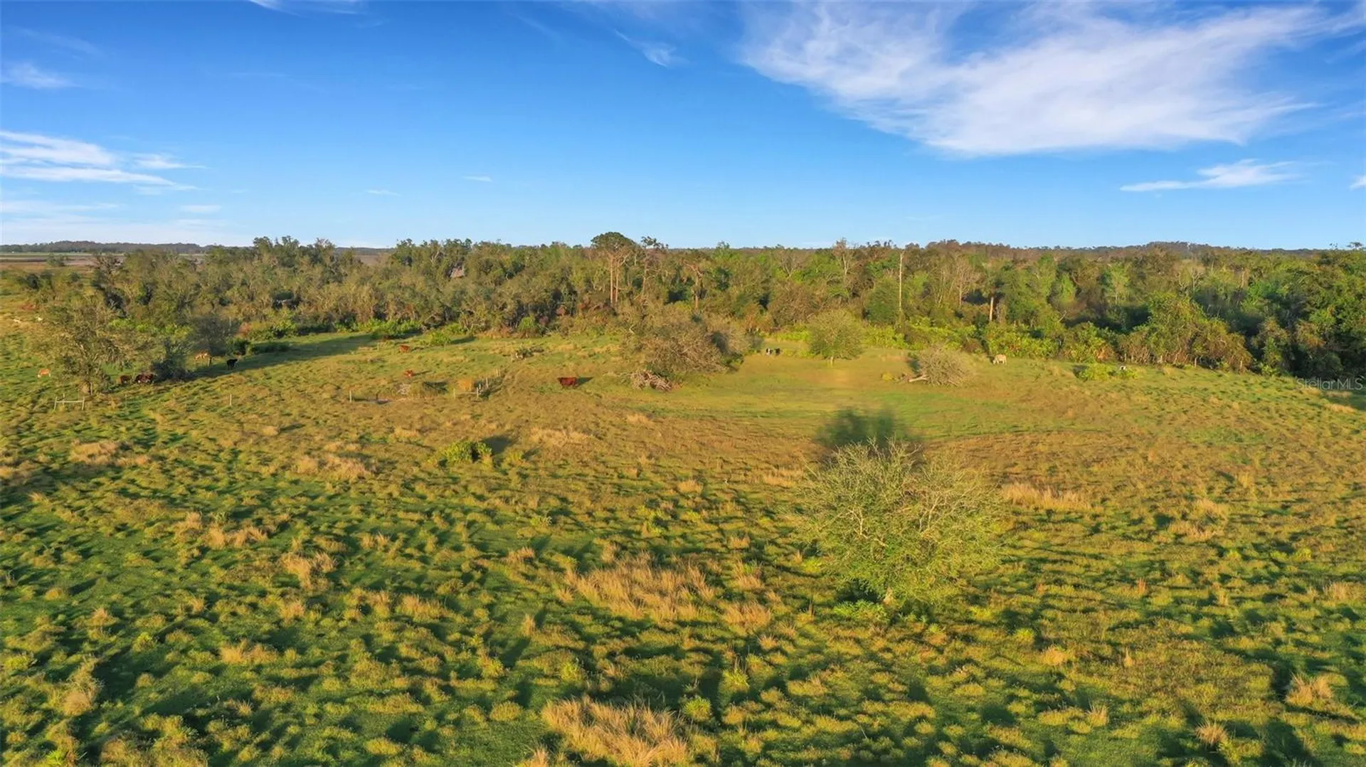 Myakka City FL 34251