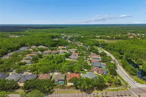 16329 Ashington Park Drive Tampa FL 33647