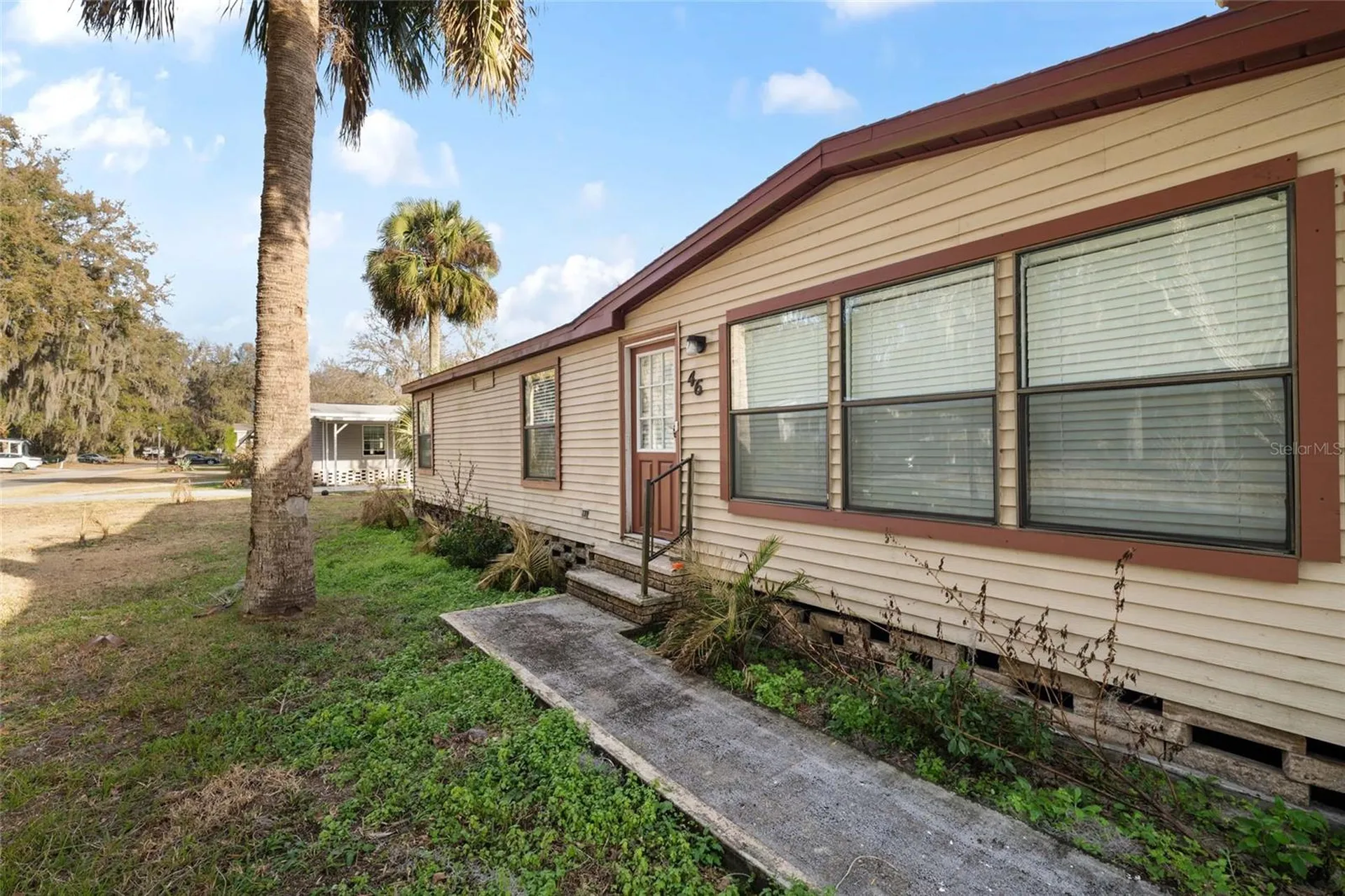 46 Wilderness Drive Lake Panasoffkee FL 33538