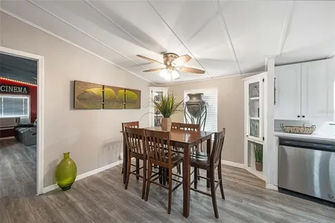 46 Wilderness Drive Lake Panasoffkee FL 33538
