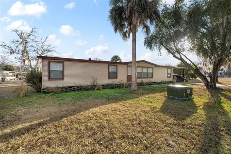46 Wilderness Drive Lake Panasoffkee FL 33538