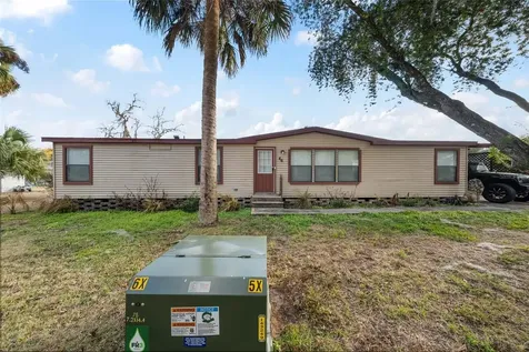 46 Wilderness Drive Lake Panasoffkee FL 33538