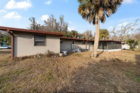 46 Wilderness Drive Lake Panasoffkee FL 33538