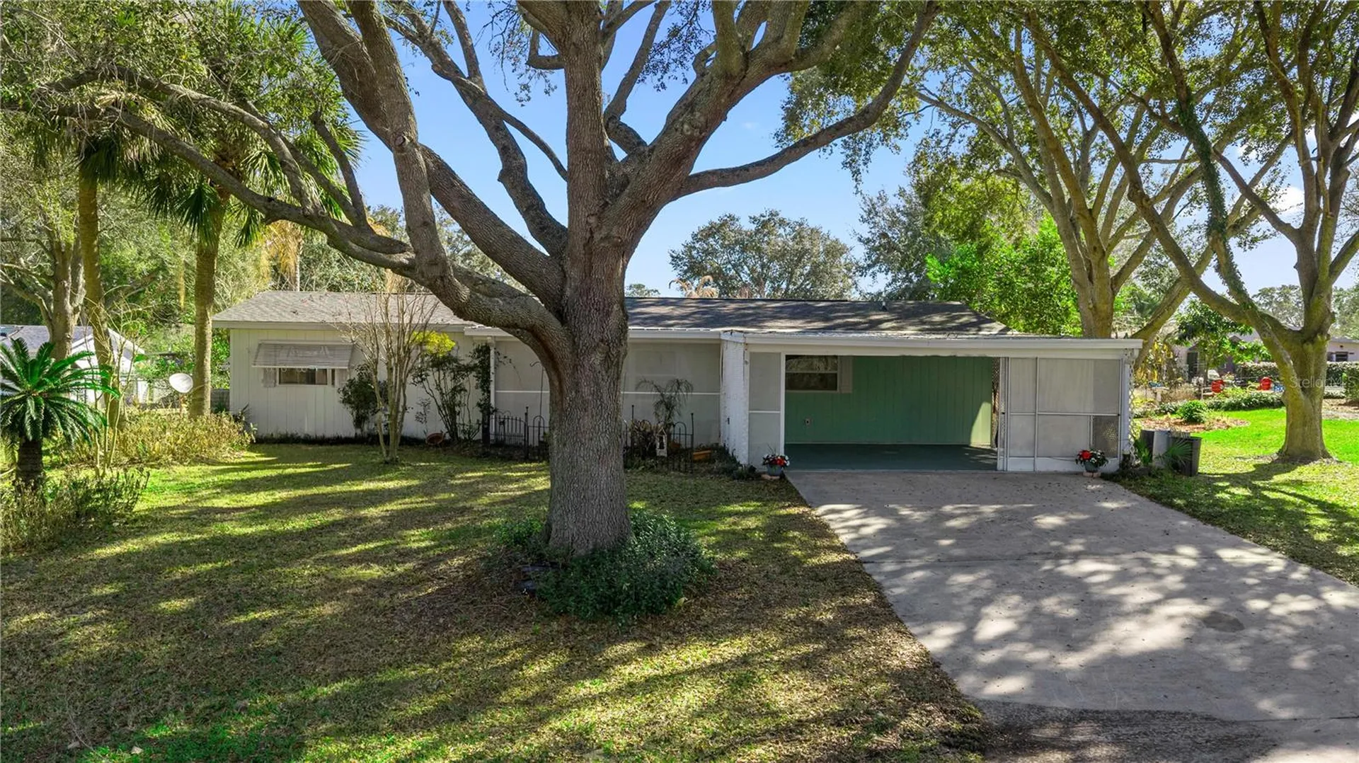 10035 SW 91st Terrace Ocala FL 34481