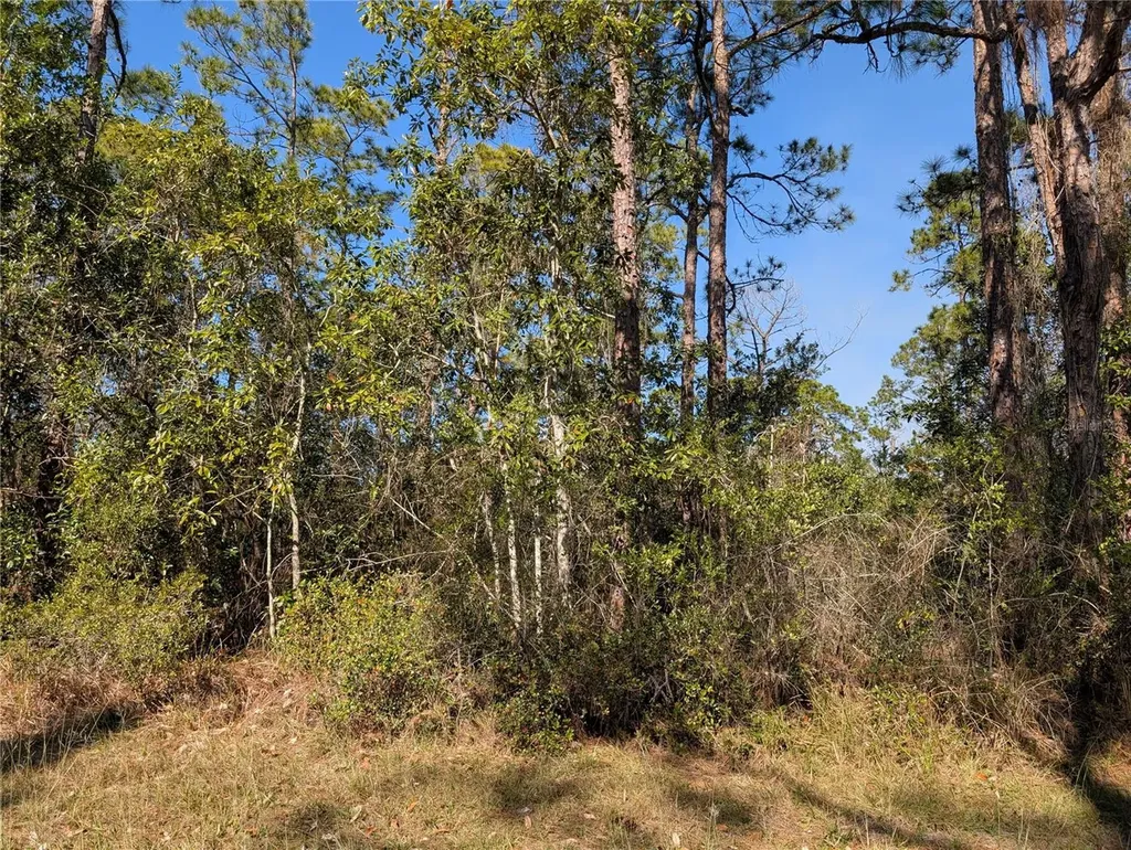 214 & 216 Allamanda Drive Indian Lake Estates FL 33855