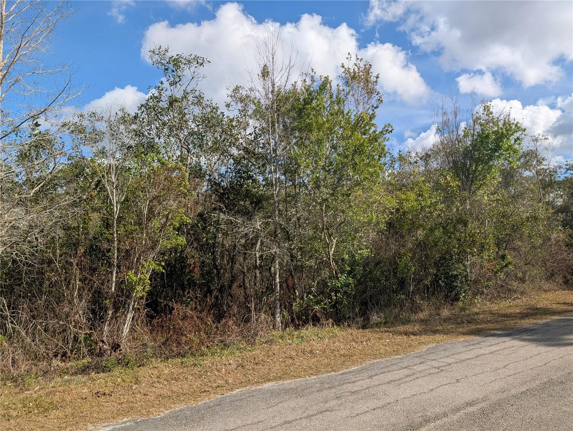 214 & 216 Allamanda Drive Indian Lake Estates FL 33855