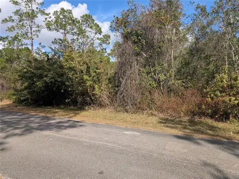214 & 216 Allamanda Drive Indian Lake Estates FL 33855