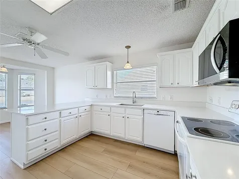 1109 Saldivar Road The Villages FL 32159