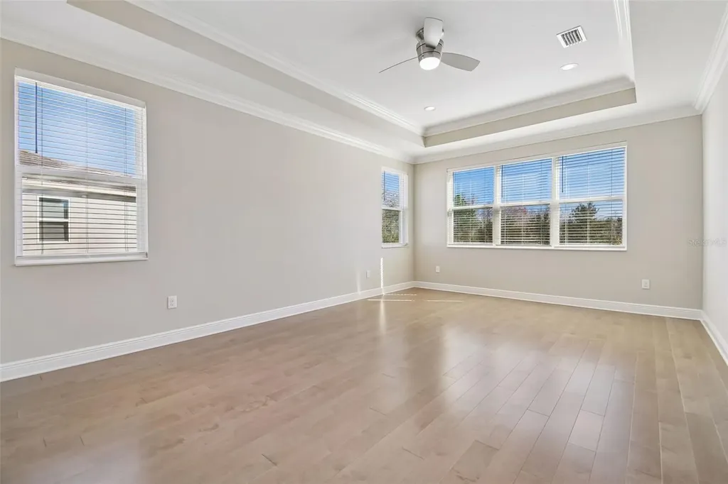 30578 Ceasar Park Drive Wesley Chapel FL 33543