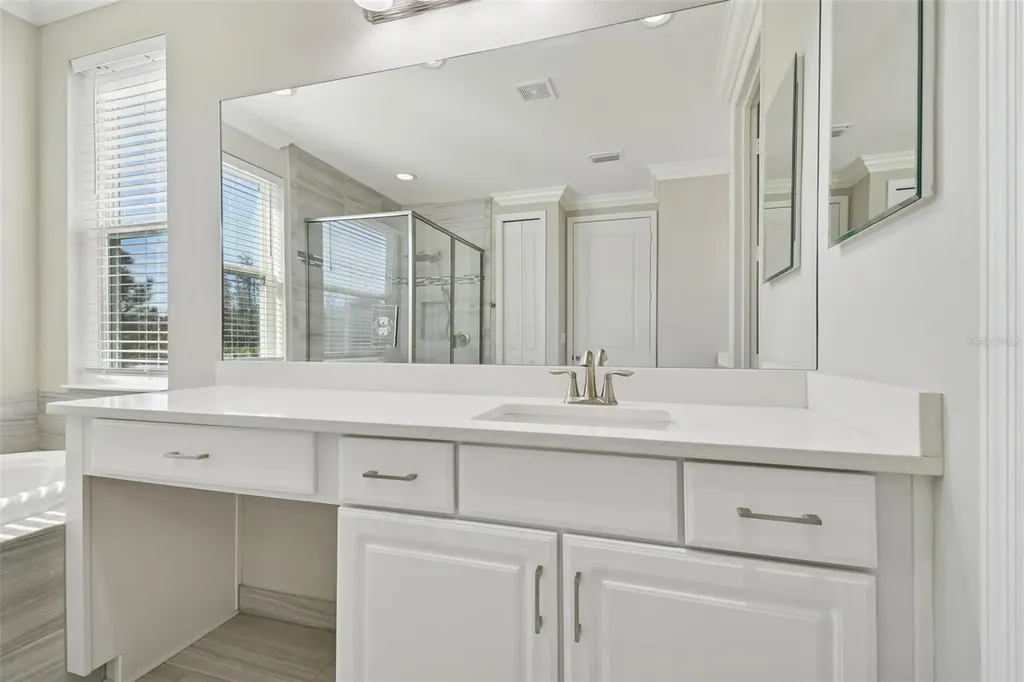 30578 Ceasar Park Drive Wesley Chapel FL 33543