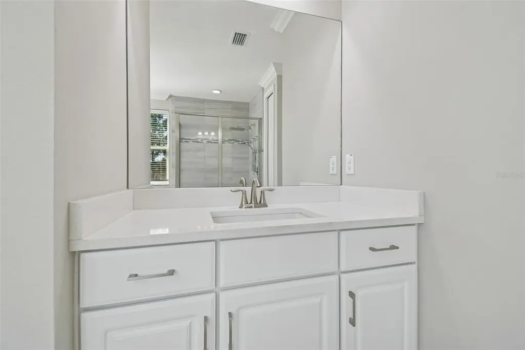 30578 Ceasar Park Drive Wesley Chapel FL 33543