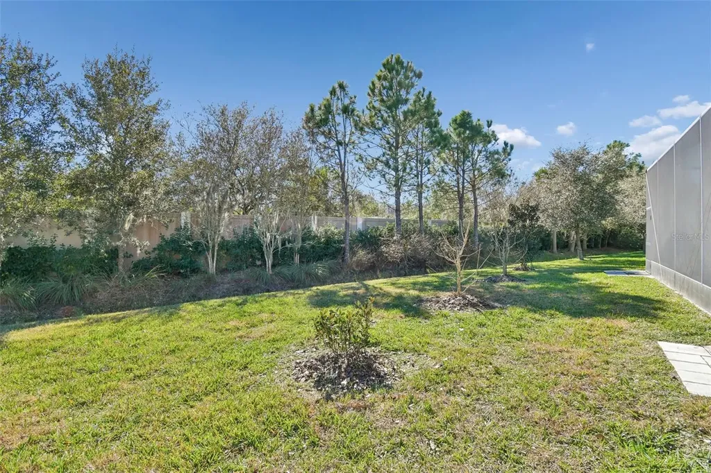30578 Ceasar Park Drive Wesley Chapel FL 33543