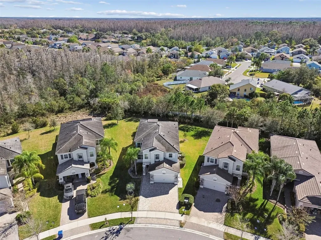 30578 Ceasar Park Drive Wesley Chapel FL 33543