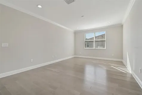 30578 Ceasar Park Drive Wesley Chapel FL 33543