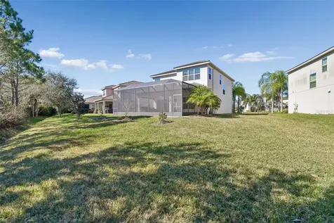 30578 Ceasar Park Drive Wesley Chapel FL 33543