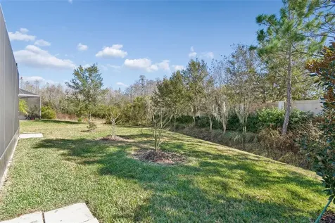 30578 Ceasar Park Drive Wesley Chapel FL 33543
