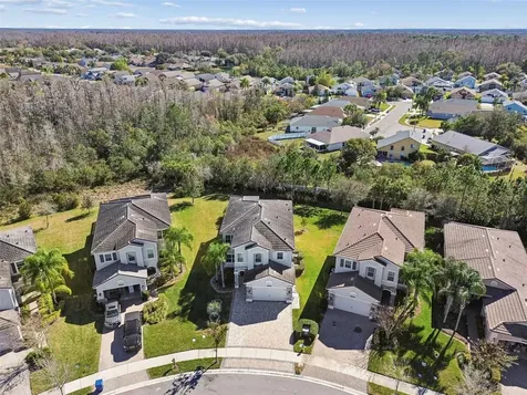30578 Ceasar Park Drive Wesley Chapel FL 33543