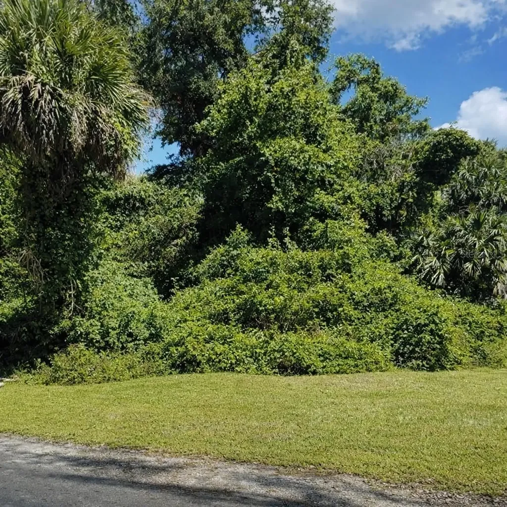 116 Edgard Drive Palm Coast FL 32164