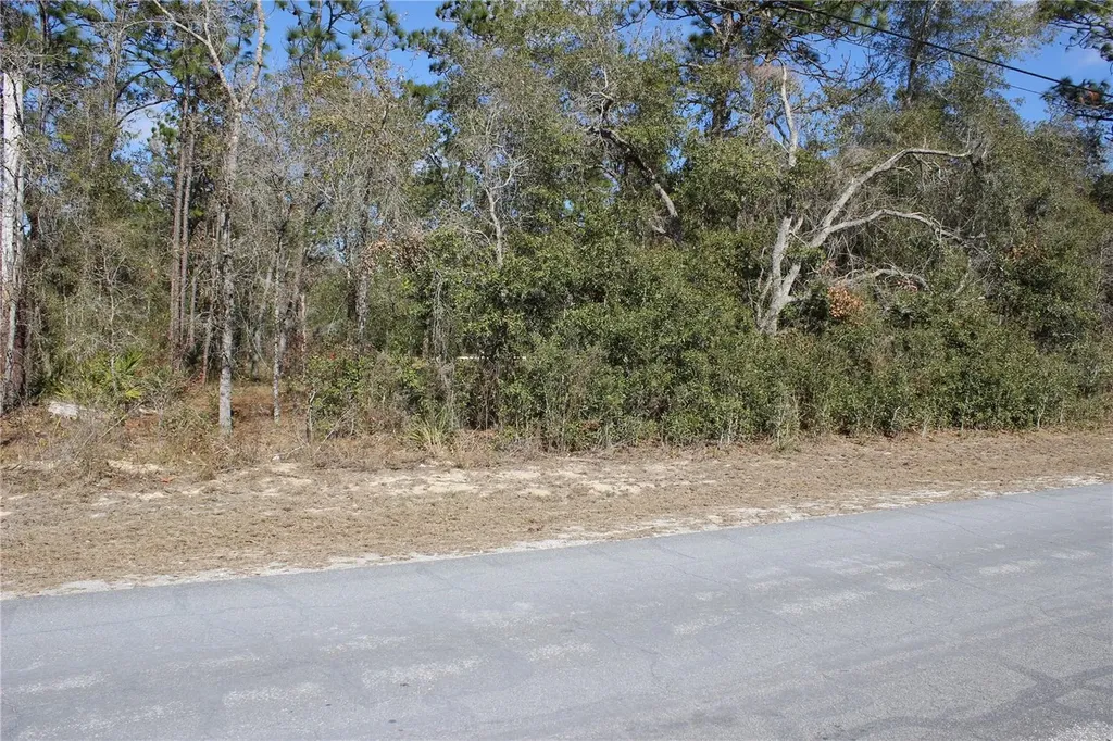 0 Quigley Avenue Weeki Wachee FL 34614