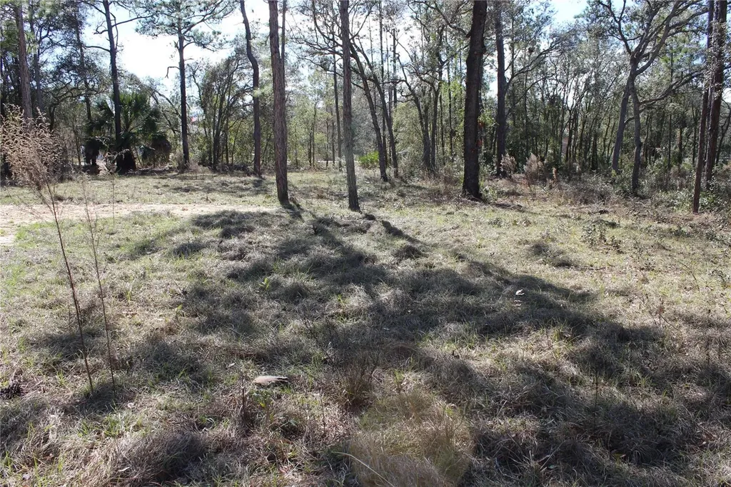 0 Quigley Avenue Weeki Wachee FL 34614