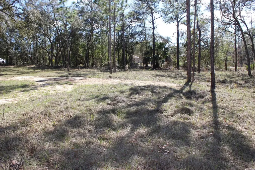 0 Quigley Avenue Weeki Wachee FL 34614