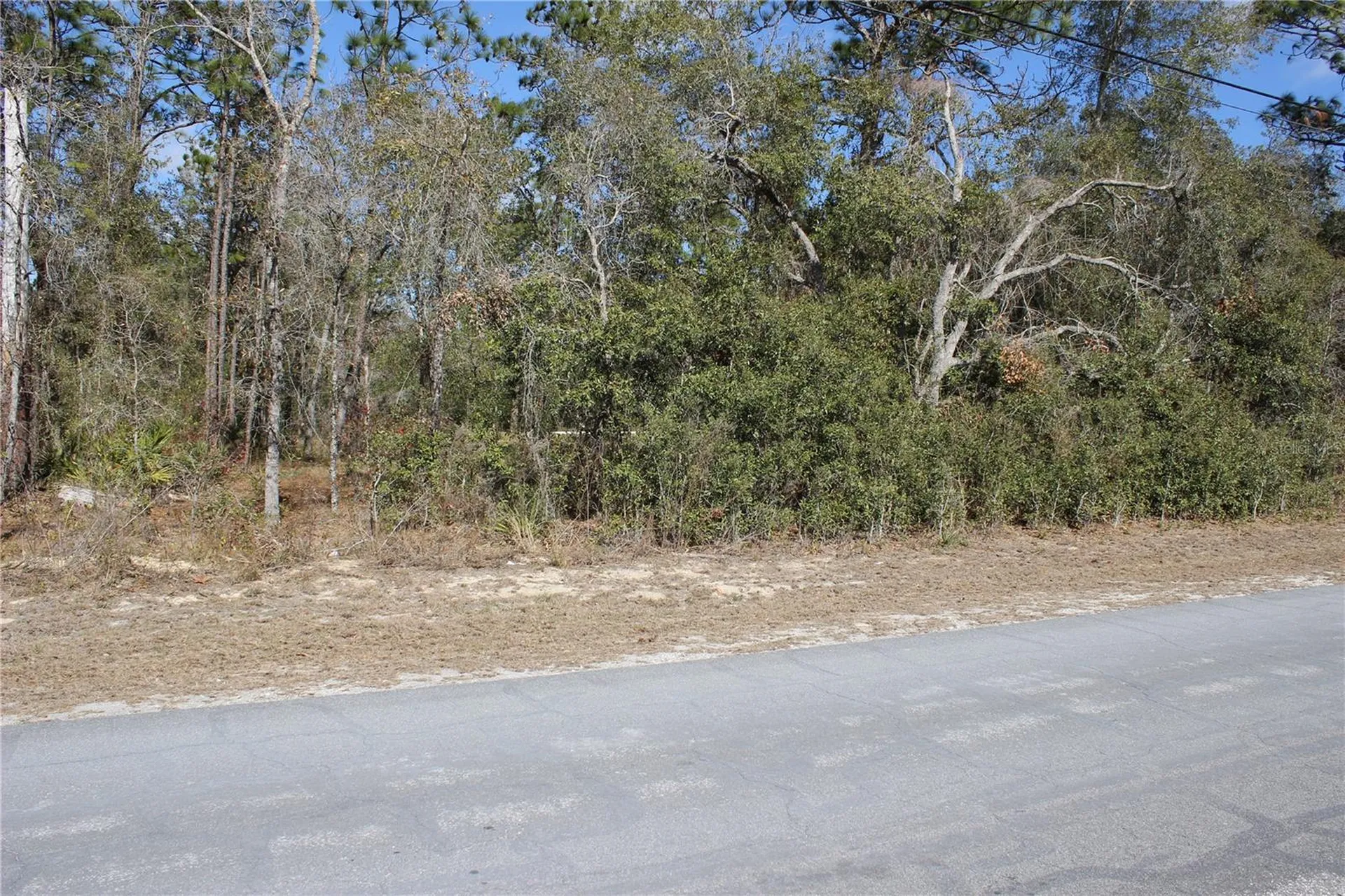 0 Quigley Avenue Weeki Wachee FL 34614