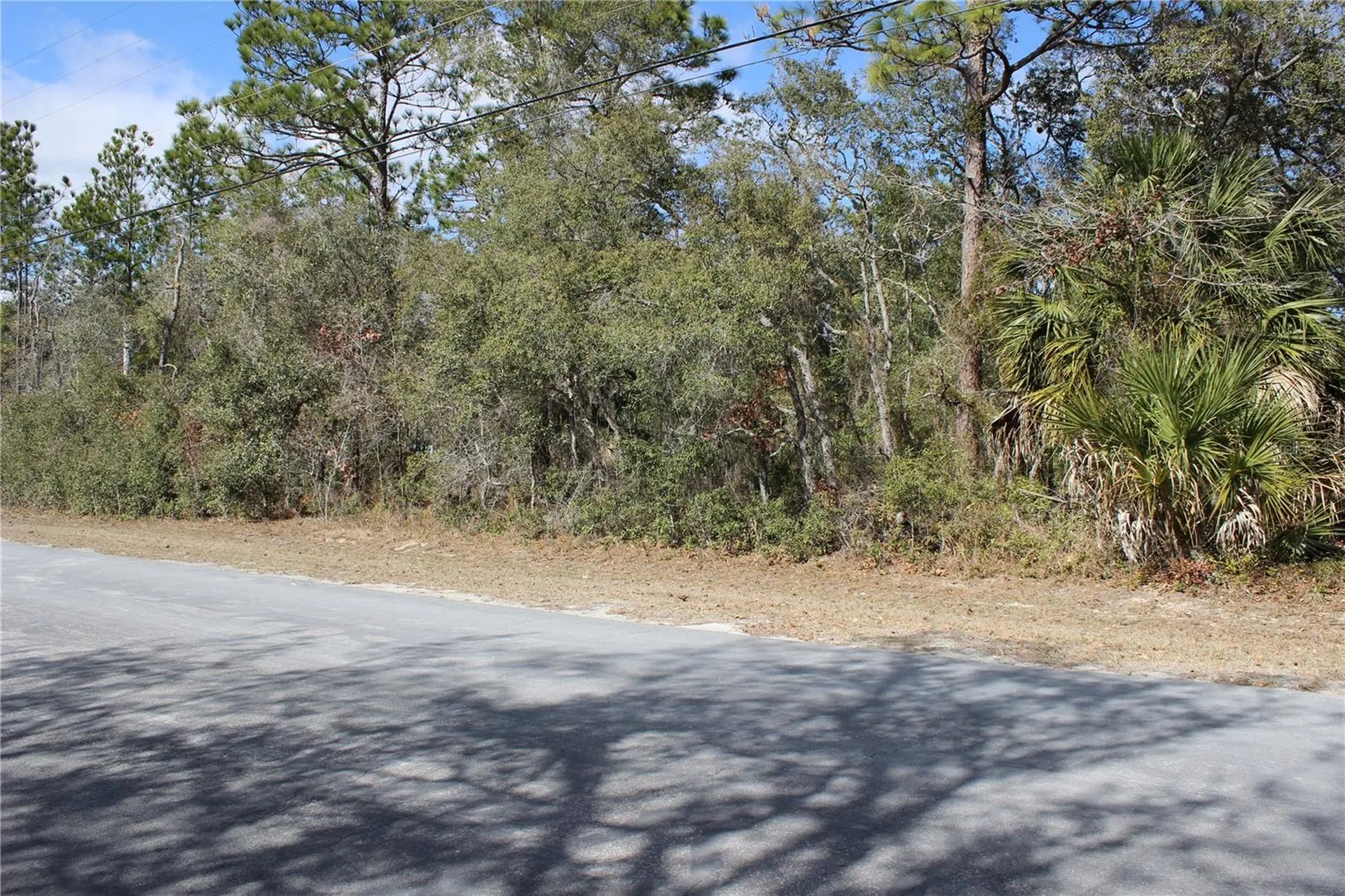 0 Quigley Avenue Weeki Wachee FL 34614