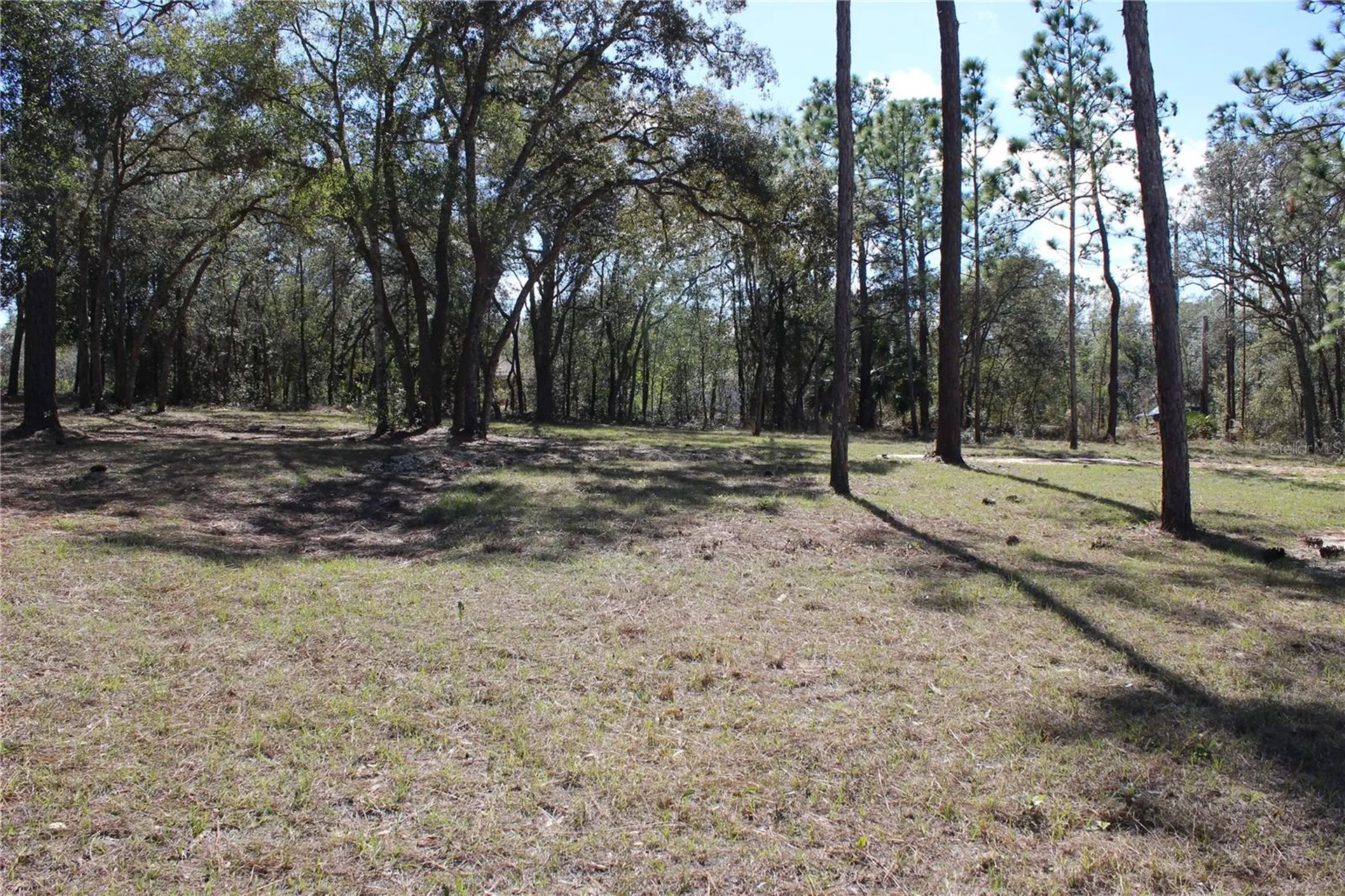 0 Quigley Avenue Weeki Wachee FL 34614