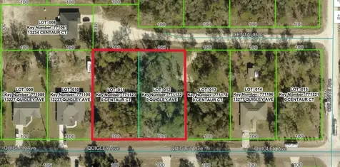 0 Quigley Avenue Weeki Wachee FL 34614