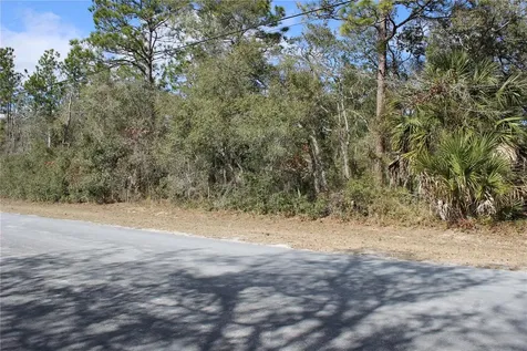 0 Quigley Avenue Weeki Wachee FL 34614