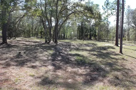 0 Quigley Avenue Weeki Wachee FL 34614
