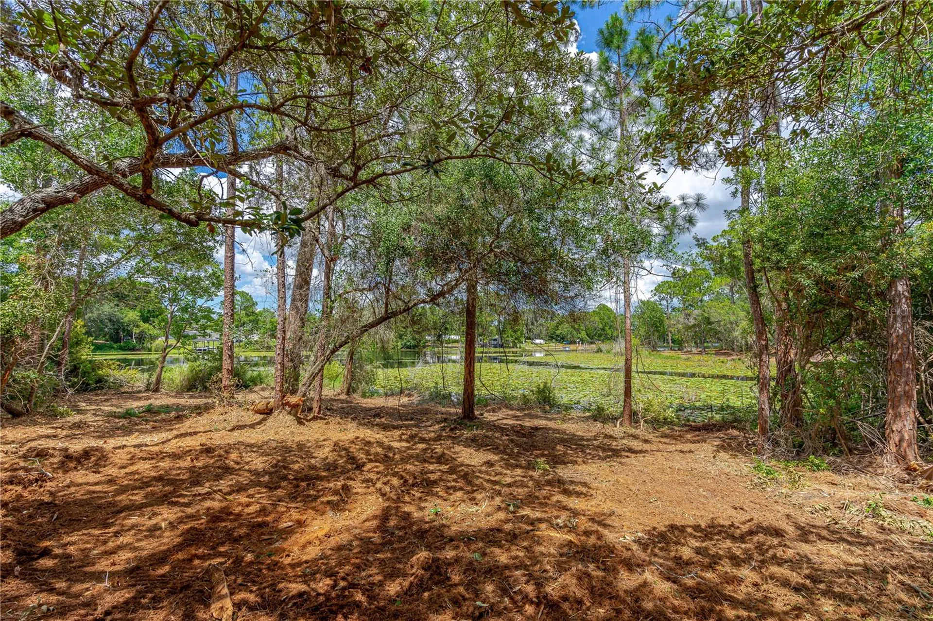 Twin Oak Street Deltona FL 32725
