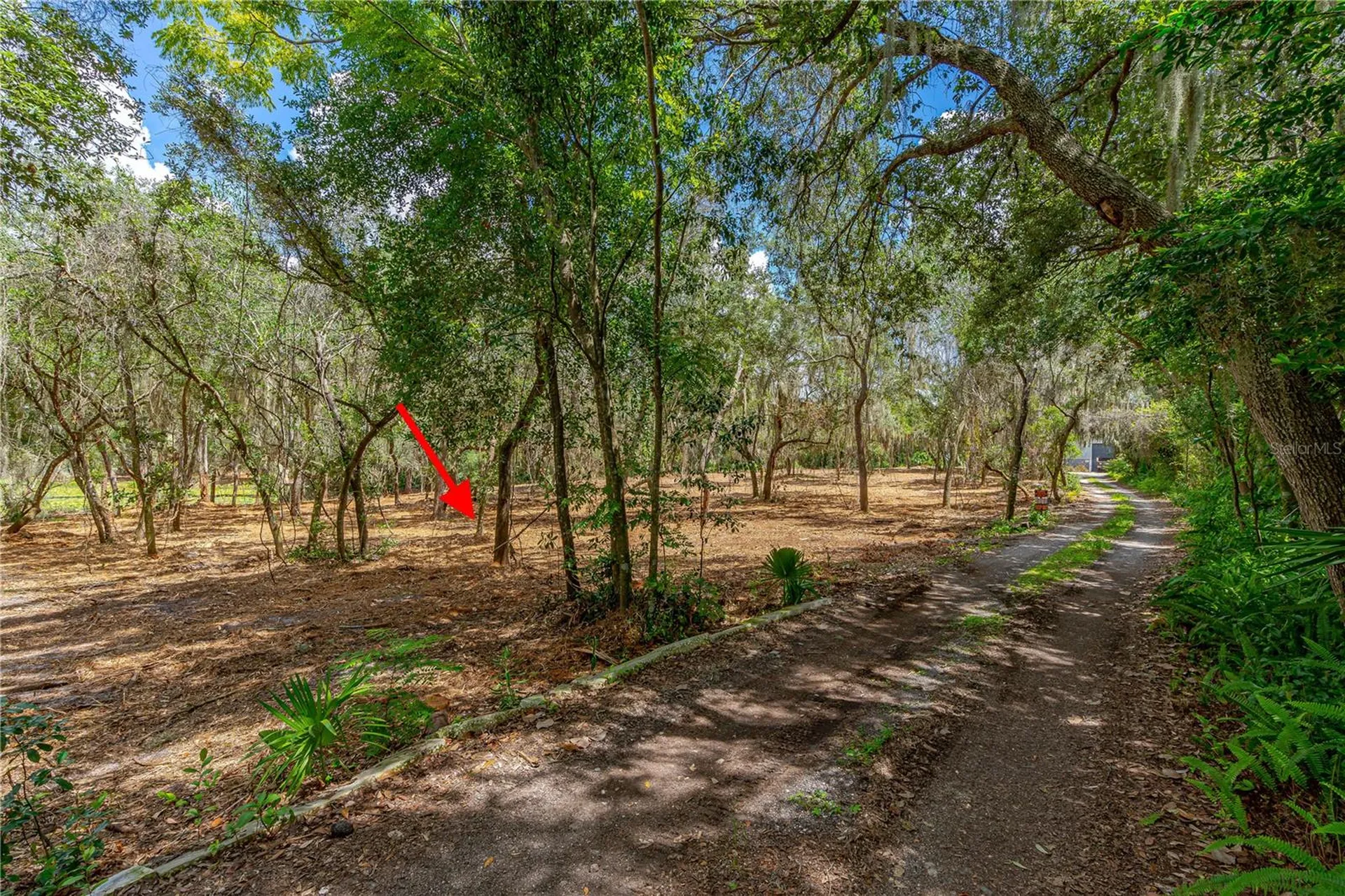 Twin Oak Street Deltona FL 32725