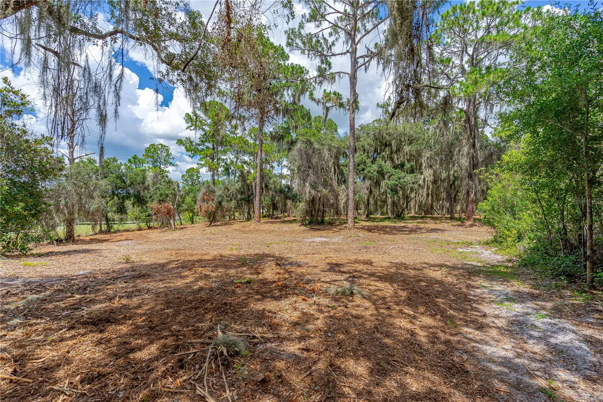 Twin Oak Street Deltona FL 32725