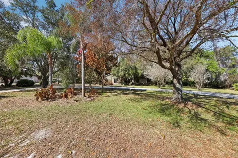 29205 Old Mill E Tavares FL 32778