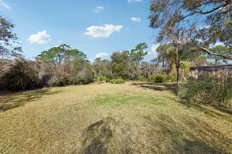 29205 Old Mill E Tavares FL 32778
