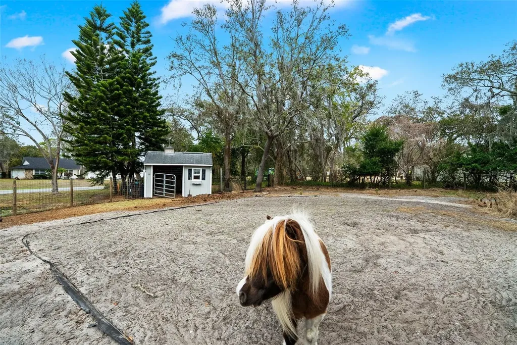 6568 Millstone Drive New Port Richey FL 34655