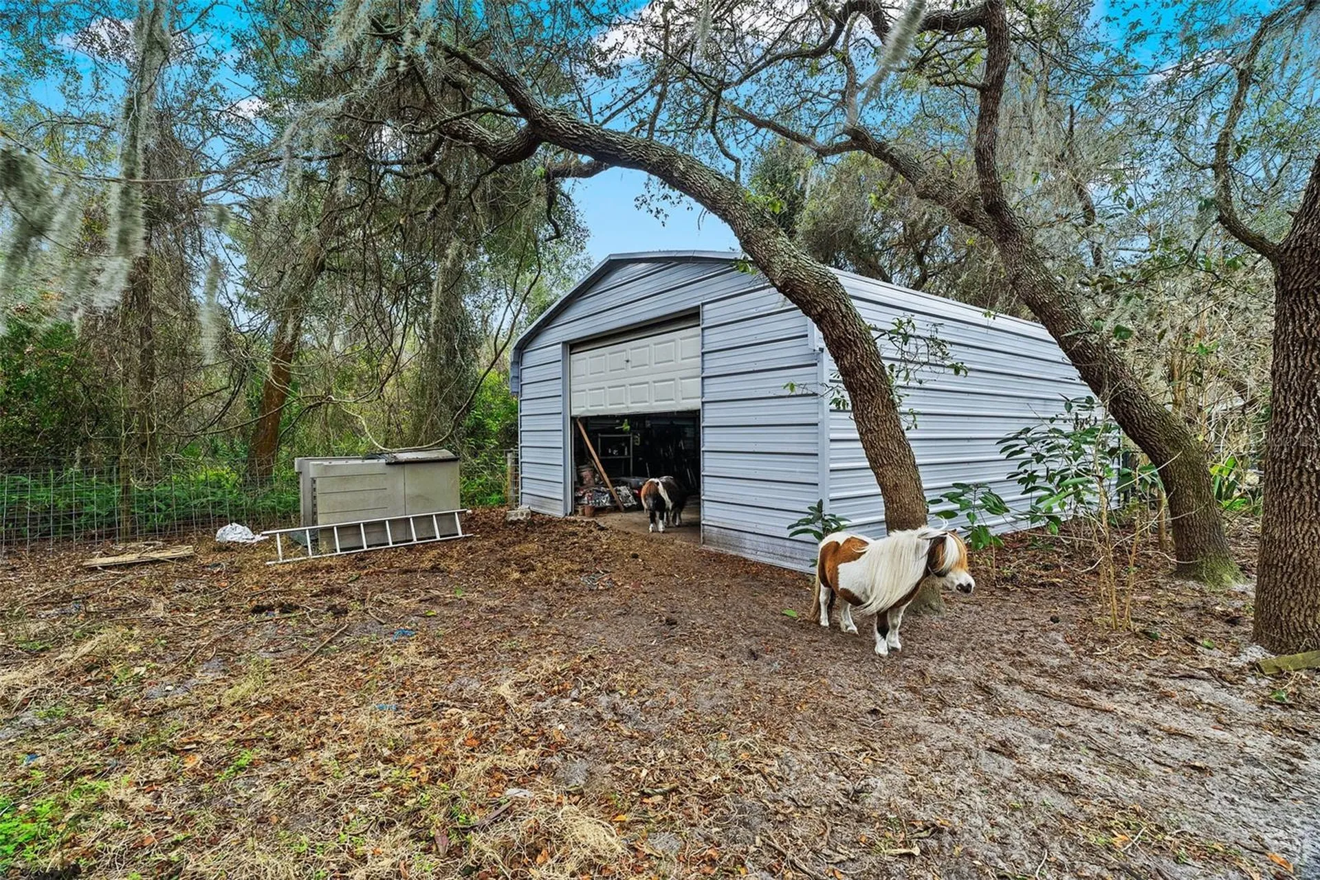 6568 Millstone Drive New Port Richey FL 34655