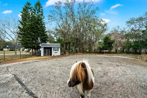 6568 Millstone Drive New Port Richey FL 34655