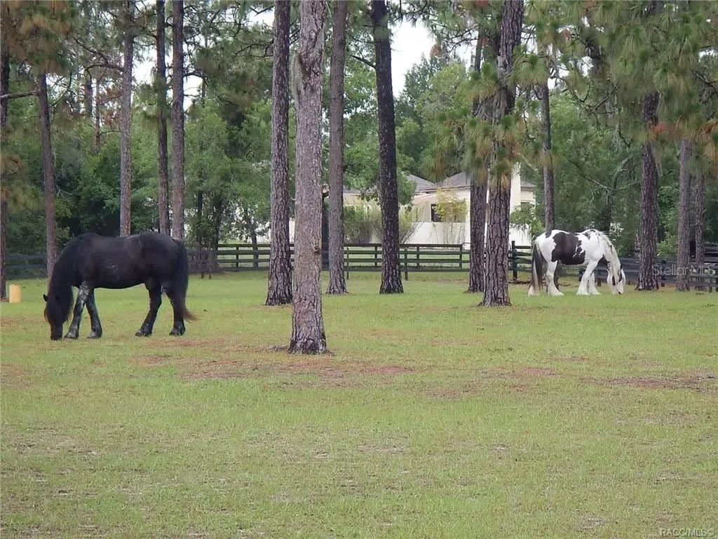 4976 W Yearling Drive Beverly Hills FL 34465