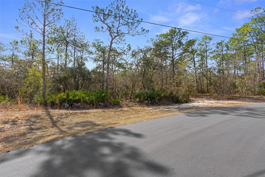 4976 W Yearling Drive Beverly Hills FL 34465